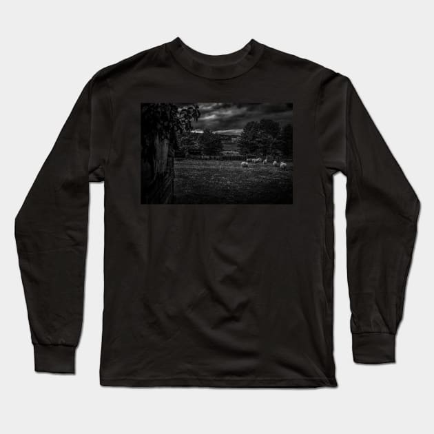 Monochrome County Durham Sheep Long Sleeve T-Shirt by axp7884